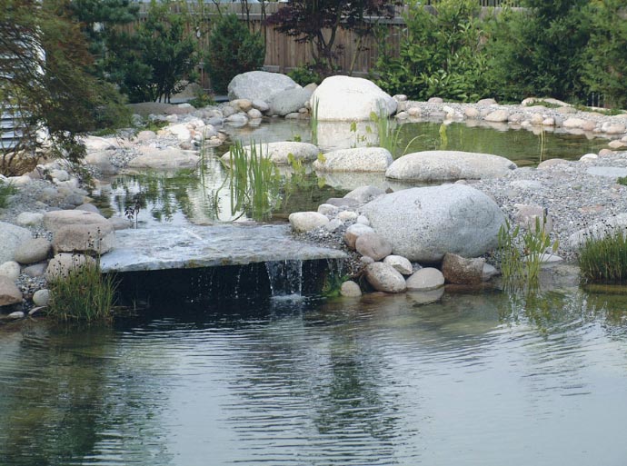 Sostenibilidad – por que son sostenibles las piscinas naturales?